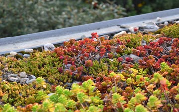 the cost of Bay Gate green roof installation
