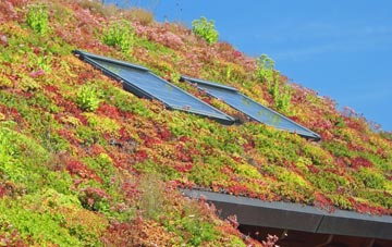 Bay Gate living roof systems